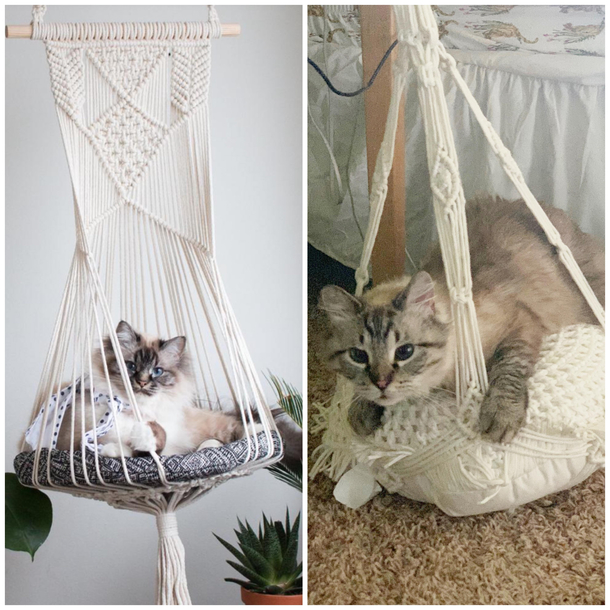 Left is  cat bed and right is my  Target doup EmmyLou doesnt seem to mind