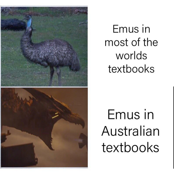 Legends spoke of the emus rise to power