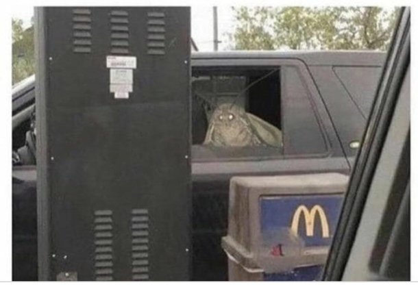 LEMME GET UHHHHHH LARGE LAMPtb