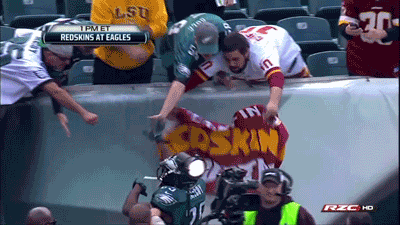 LeSean McCoy rips flag out of rival fans hands