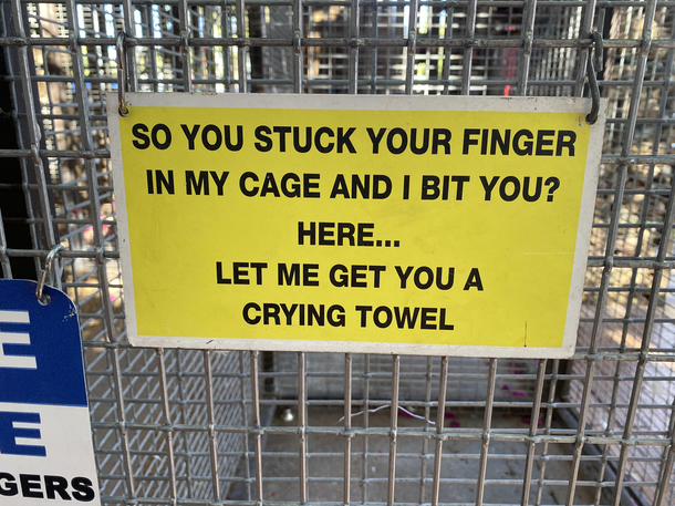 Let me get you a crying towel