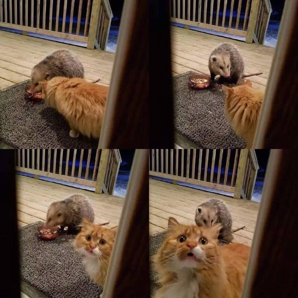 Let me in