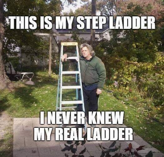 Let me introduce my step family