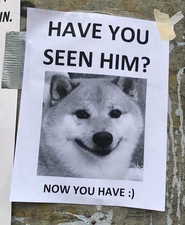 Let me just put this here