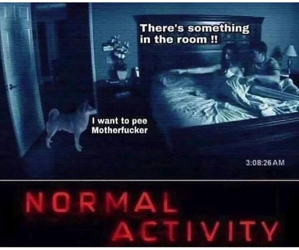 Let me out bitch