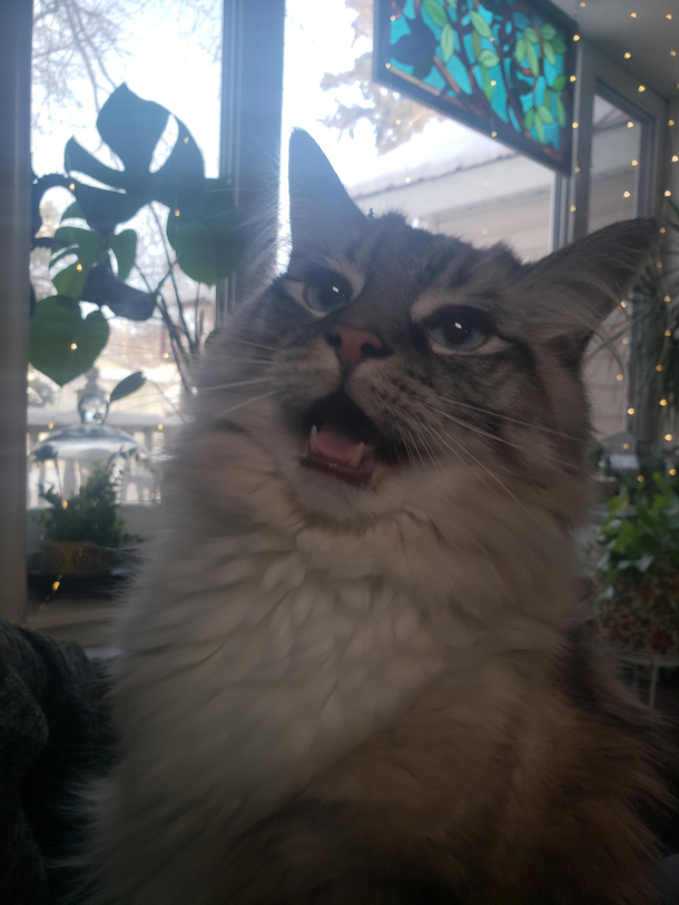 Let me sing you the song of my people