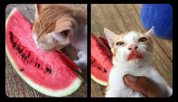 Let me take a bite