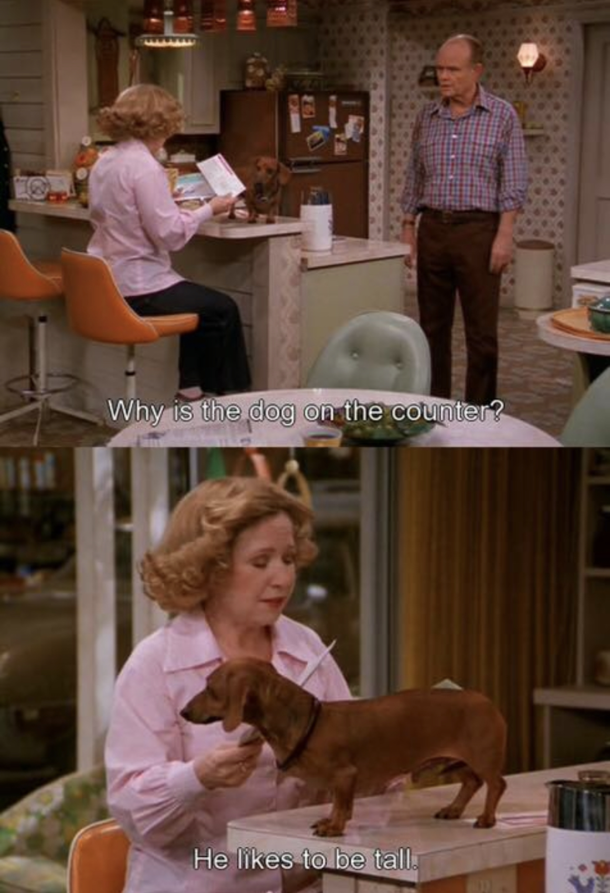 Let the dog be tall