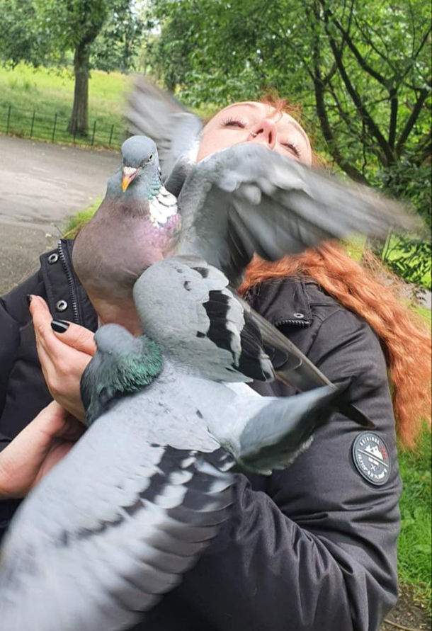 Lets feed the pigeons they said itll be fun they said