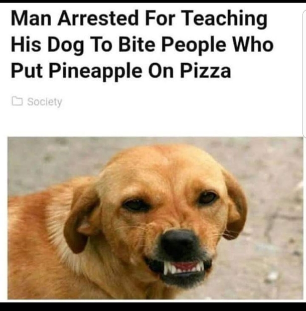 Lets give this guy a Medal