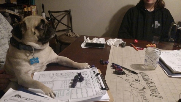 Lets play some Dungeons and Dogs