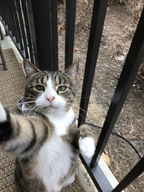 Lets take a selfie 