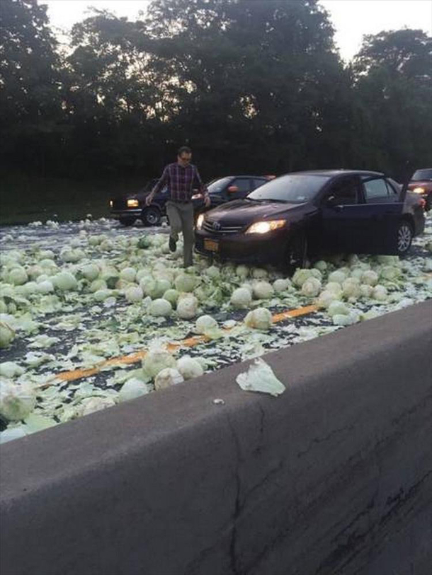 Lettuce pray that everyone was okay