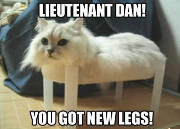 Leuitenant Dan