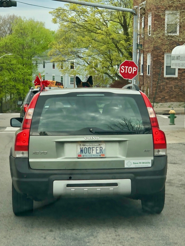 License plate checks out