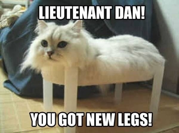 Lieutenant Dan