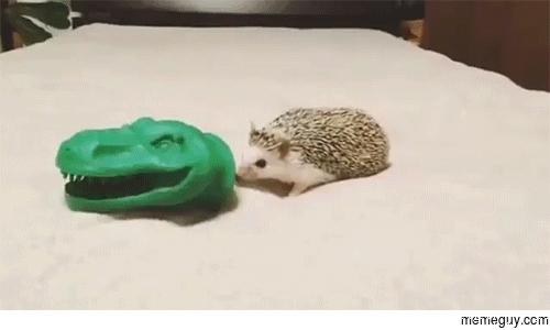 Life finds a Way