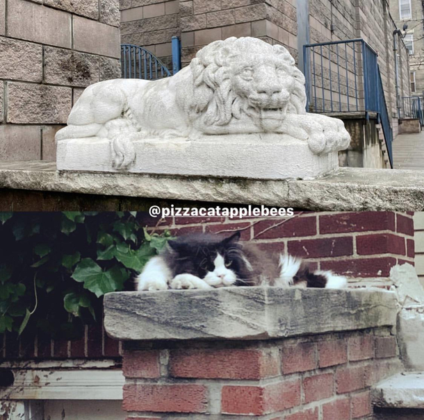 Life imitates art
