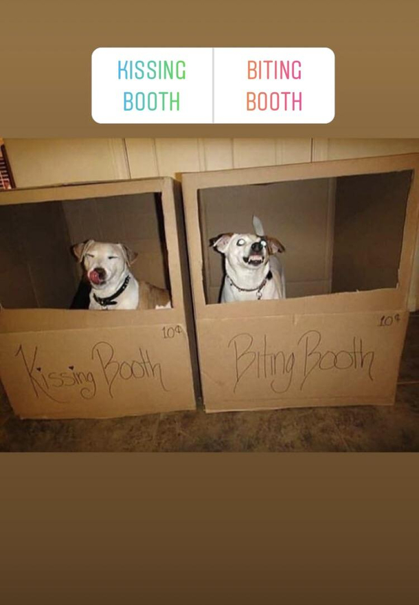 Life is full of tough choices