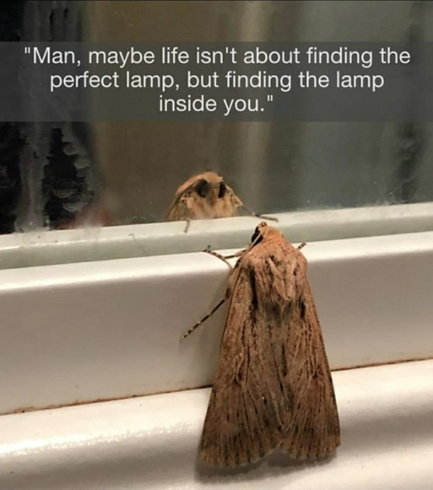 Life is hard