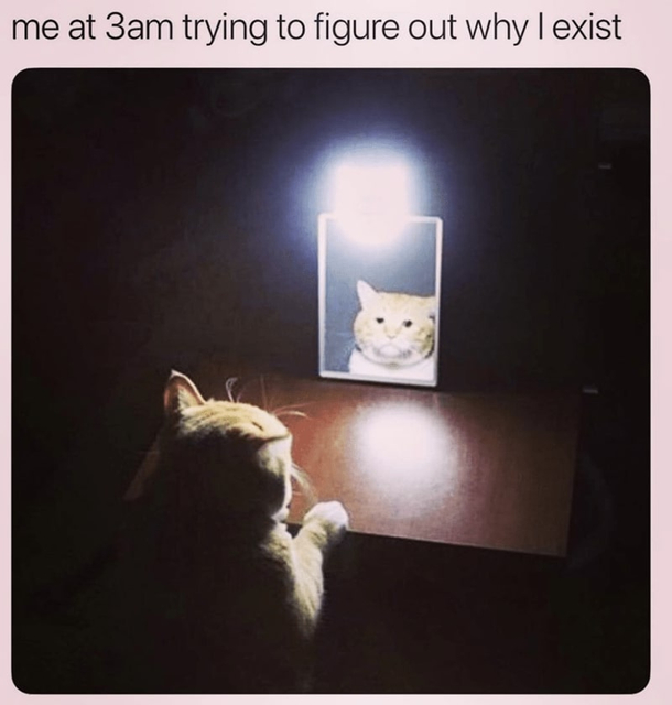 Life these days 