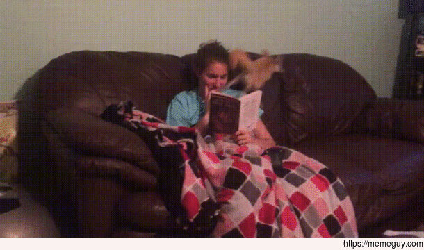 Life with a fox