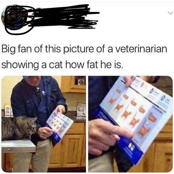 Like big BIG fan