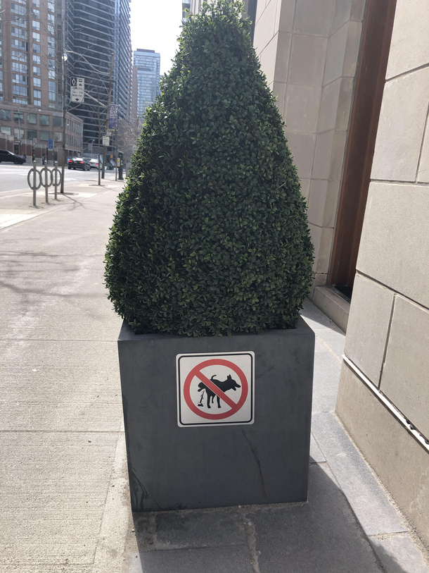 Like dogs can read signs 