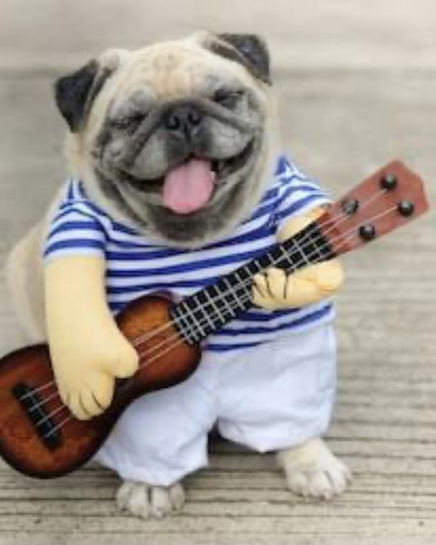 Like if u would get him