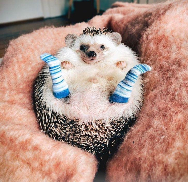 Like my Gucci socks 