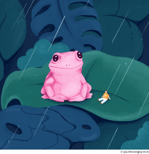 Lil dude and is frog on a rainy day
