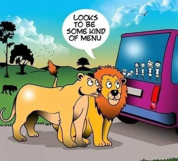 Lion Drive Thru