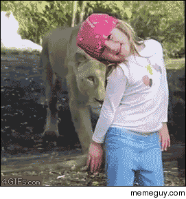 Lion scares girl