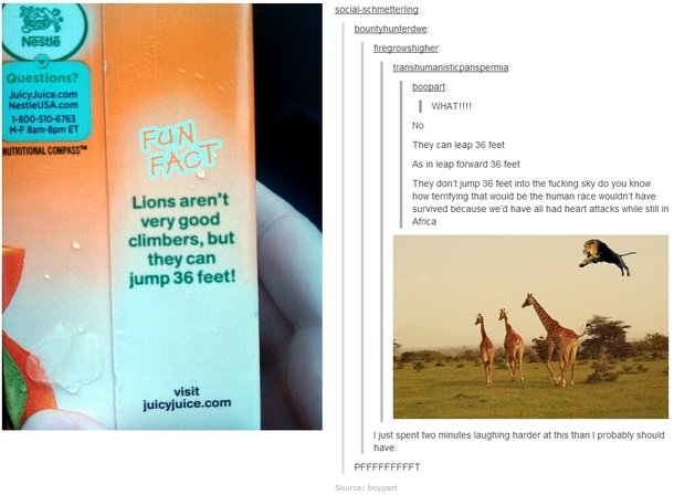 Lions can jump  feet up in the air
