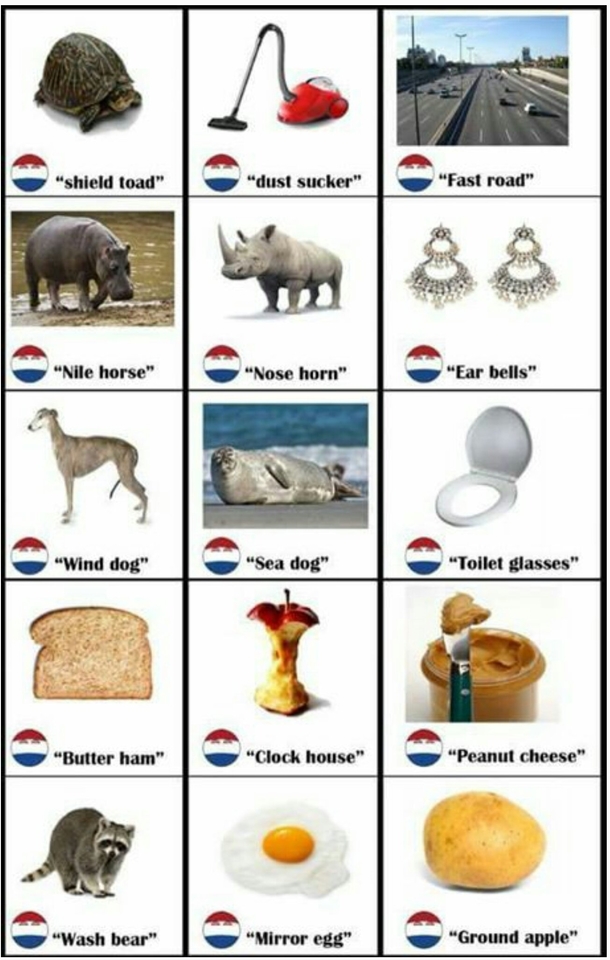 Literal Translations of Dutch Words