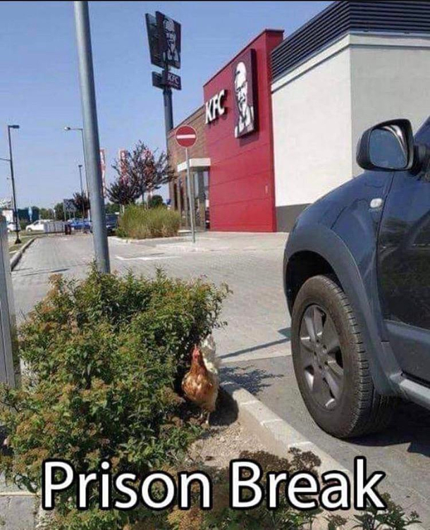 Literally a prison break