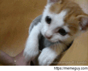 Little fella is just sooo tiny