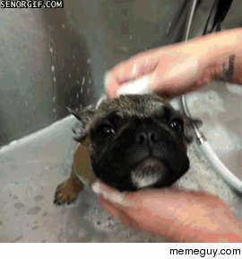 Little guys first bath