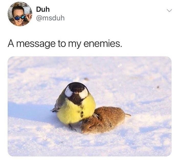 Little METAL bird