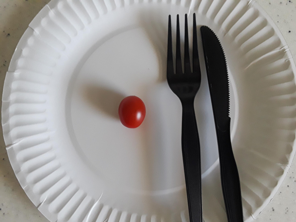 Living off the grid first harvest planted my tomato plant on the first day of lockdown