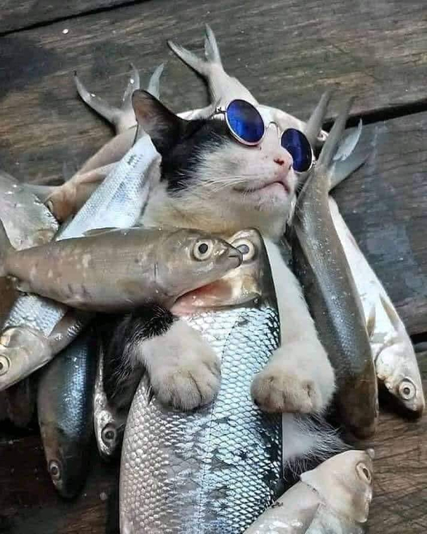 Living the dream