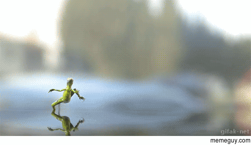 Lizard is walking on water