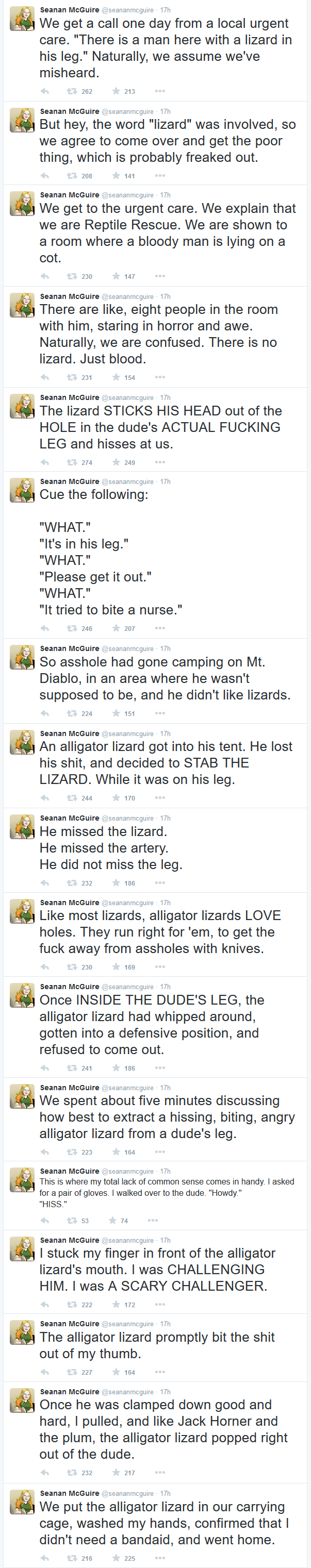 Lizard Story