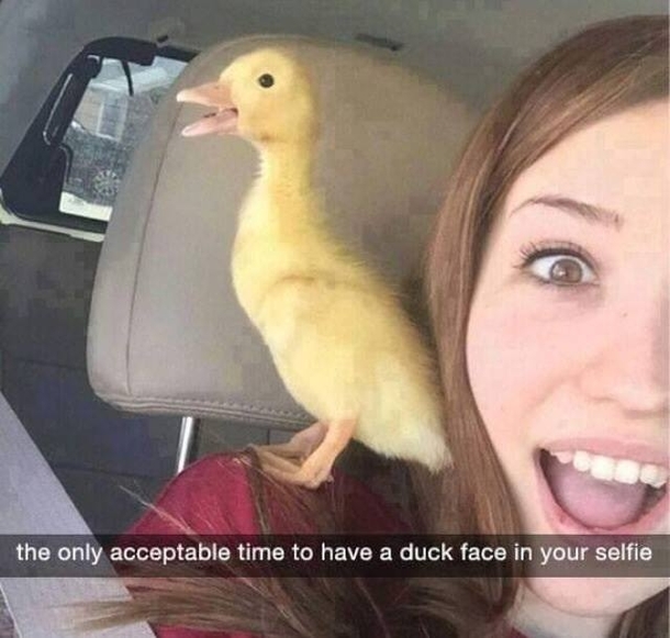 Lmao thats awesome