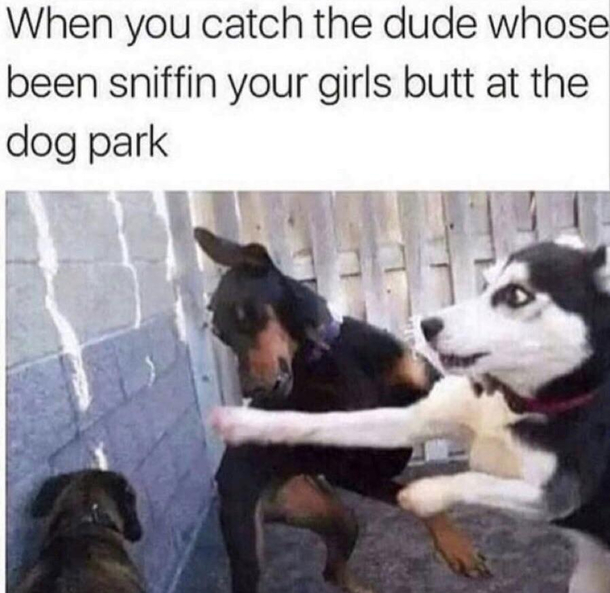 Lmao when I saw this 
