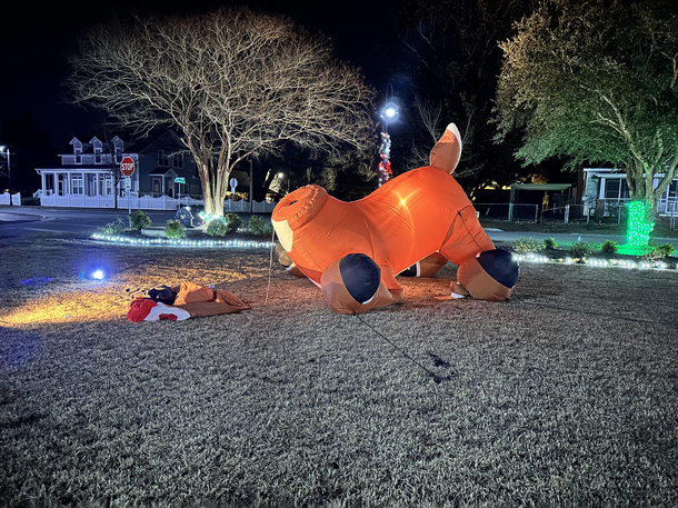 Local park near my house displaying Rudolphs poor Christmas performance this year