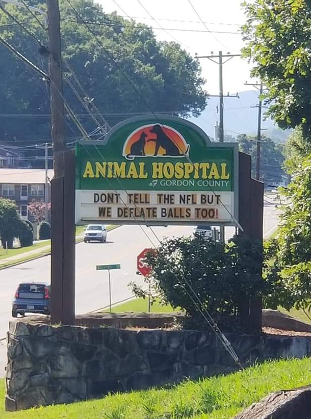 Local vets office specializes in deflating balls