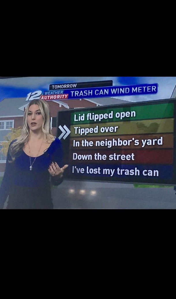 Local weather station showing a scale I can understand
