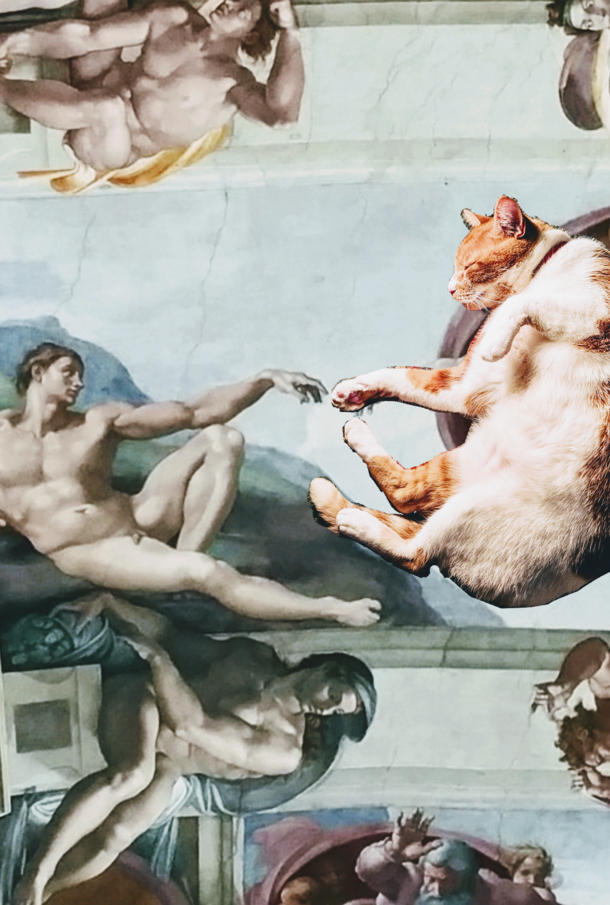 Lockdown day  I have begun the process of poorly superimposing my cat into famous landmarks again