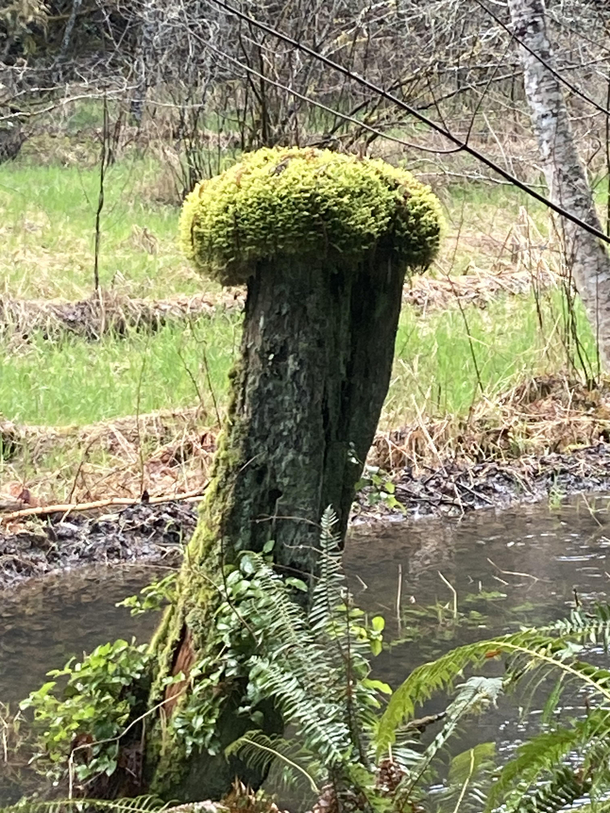 Log Fro on point for their age